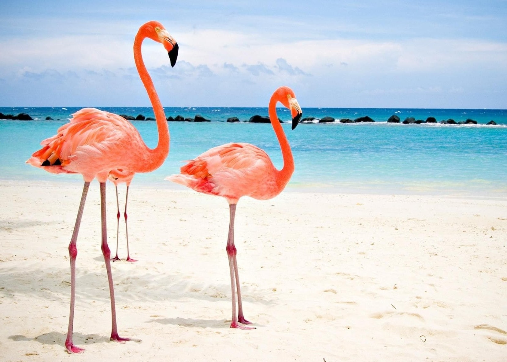 Aruba
